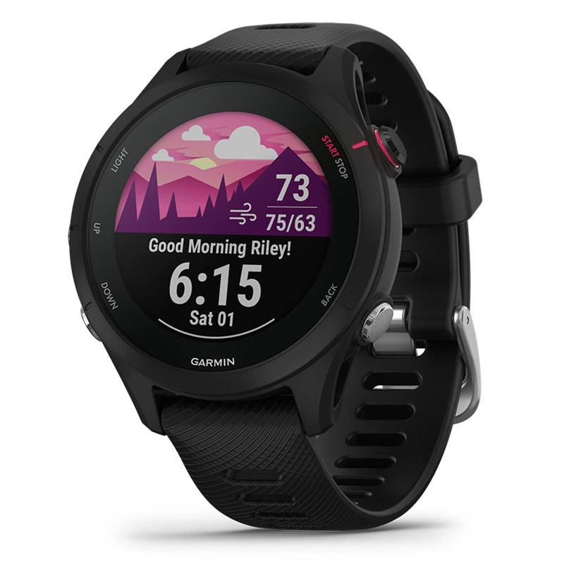 garmin forerunner 255s (copia)